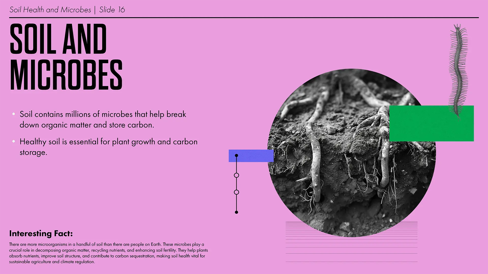 Climate presentation slide 1